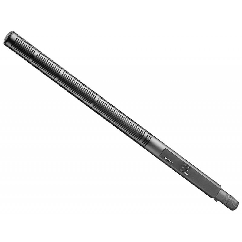 Sennheiser MKH70 P48 Mic