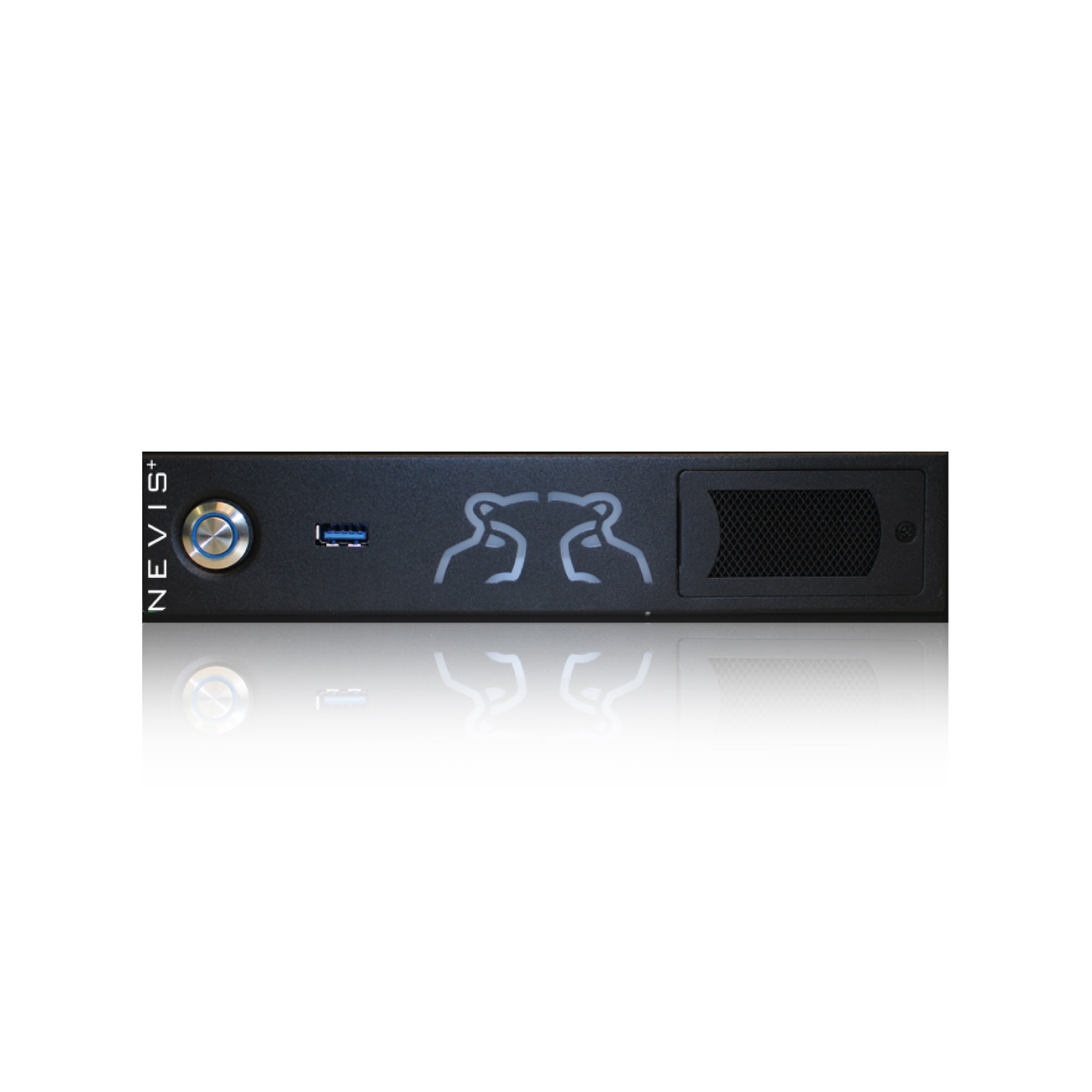 Green Hippo Nevis - Media server (1 x DP)