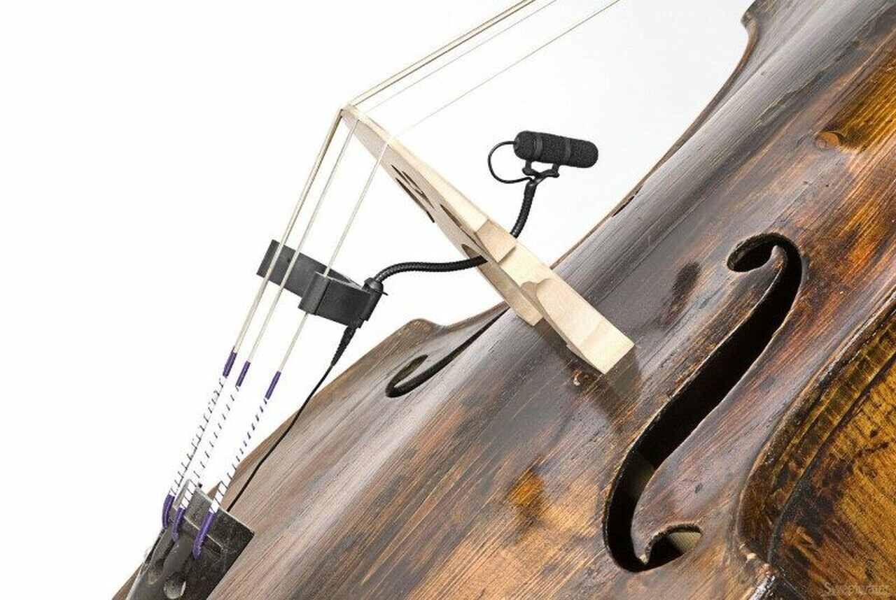 DPA 4099 Clip for Bass