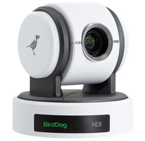 BirdDog Eyes P100 PTZ Remote Camera