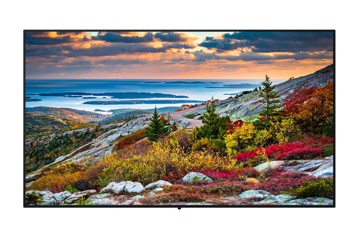 Skjár - Panasonic 55" - TH-55CQE1W
