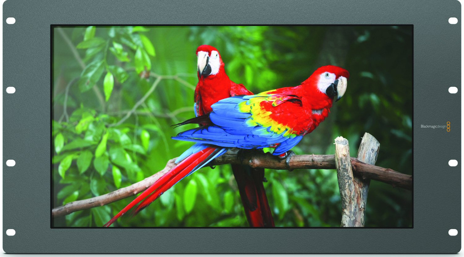 Monitor - Blackmagic